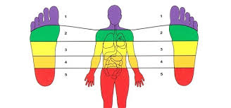 5 major differences in chinese and western reflexology