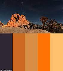 Joshua Tree National Park Color Palette Joshua Tree National Park National Parks Desert Decor