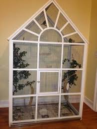 Bird Aviary For Sale Nsw Another Aviary Built From The Ground Up Made Of Pine For The Frame Bird Aviary Diy Bird Cage Pet Bird Cage