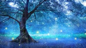 2 Hours Of Peaceful Relaxing Nature Instrumental Music By Tim Janis Youtube