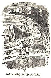 Maybe you would like to learn more about one of these? Jack And The Beanstalk Wikipedia