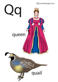 These printable alphabet flash cards look just as clear and readable in. Letter Q Flashcard
