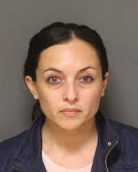 Fullerton Youth Soccer Club's Ex-Treasurer Pleads Guilty to Four Felonies