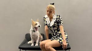 Jun 25, 2021 · amidst the current blackpink drought, blinks rejoice after news emerges of jennie and rosé being spotted in los angeles, us! Blackpink Rose S Floral Dress Look On Instagram Is Cute Yet Edgy Inkistyle