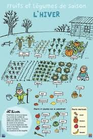 Pin Op Fruit Et Legume