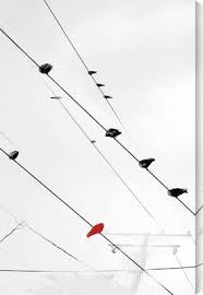 Birds On A Wire Wall Art Birds On A Wire Ii Canvas Art Print By Sara Abbott Ab195a Gallery Direct Bird Canvas Canvas Art Prints Fine Art Prints