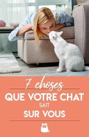 7 Choses Que Votre Chat Sait Sur Vous Tout Savoir Sur Le Comportement Du Chat En 2020 Comportement Chat Chats Et Chatons Chat