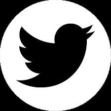 Twitter Png Logo - White Round Twitter Logo Png Clipart - Full Size Clipart  (#3445571) - PinClipart