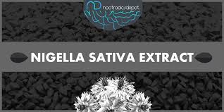 Nigella Sativa The Top Health Benefits Of Black Seed Oil