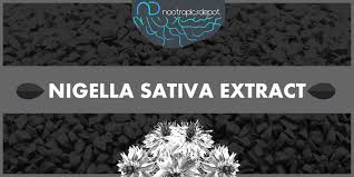 nigella sativa the top health benefits of black seed oil