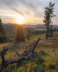 Pin Auf Wandern Trekking