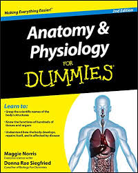 Medicine notes remedial massage body muscle anatomy muscle names physical therapy assistant ace study anatomy lessons muscular system. Anatomy And Physiology For Dummies Norris Maggie Siegfried Donna Rae 9780470923269 Amazon Com Books