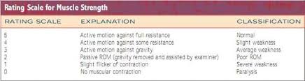 Rating Scale For Muscle Strength Rating Scale Muscle How To Remove