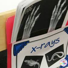 As a pet clinic vet doctor it is your pet animal hospital doctor duty to help cute pet lovely babies. Pet Vet Animal Hospital Dramatic Play Dramatic Play Preschool Dramatic Play Printables Dramatic Play