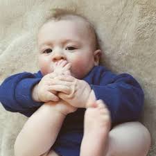 The Destruction of Experience: How Ecopsychology Has Failed