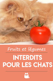 Fruits Et Legumes Interdits Aux Chats Alimentation Du Chat Sante Des Chats Alimentation Chat