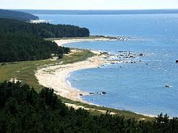 Image result for Hydrothauma