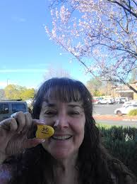 Hiding rocks in Placerville during summer