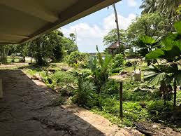 Just as its name depicts, when tenderly cultivated and. Abandoned Penang Mutiara Beach Resort Penang Island
