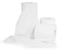 The tp holder shown below isn't exactly like the one i saw on facebook, but i just had to include this picture. Rv Toilet Paper 2 Ply Canadian Tire