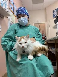 Union city pet hospital, located in union city, pa, is a medical facility for animals that offers comprehensive animal medical care services for pets including dogs, cats, and other household pets. Veterinary Medical Center 123 Photos 124 Reviews Veterinarians 33663 Mission Blvd Union City Ca Phone Number