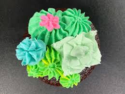 Anyway for today's post, its all about piping buttercream, there is no recipe and method on how to make it. Buttercream Cacti Succulents Indecision Cake