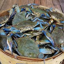 Most people just call up their local crab house and place an order but why not step up your game and steam your own. Amazon Com Maryland Blue Crabs Females Sook Steamed 1 Dozen Grocery Gourmet Food