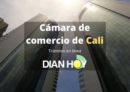 Trabajo camara comercio santiago de cali, valle del cauca. Camara De Comercio De Cali Tramites En Linea 2021