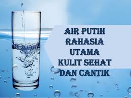 Jangan minum menunggu rasa haus yang sangat. Mengapa Pelatih Gym Saya Meminta Saya Untuk Minum Sebanyak 1 2 Liter Air Setiap Harinya Galena