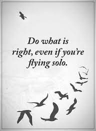 Sometimes you gotta fall before you fly. —unknown spread your wings and let the fairy in you fly! —unknown flying is safe so long as you remember that it is dangerous. —unknown birds born in a cage think flying is an illness. Best Inspirational Quotes Life Sayings Do What Is Right Flying Solo Dreams Quote