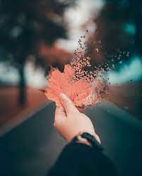 Pin By Natalie Grace On Screenshots Digital Art Photography Photography Wallpaper Art Photography