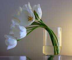 Flowers flower centerpieces wedding flowers modern flower arrangements flower arrangements diy flower designs flower boxes. Modern Tulips Arrangement Picture Jpg