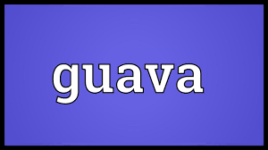 Guava Meaning Youtube