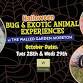 Halloween Half Term  Bug and Exotic Animal event image