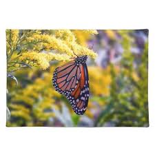 Maybe you would like to learn more about one of these? Monarch Butterfly On Goldenrod Cloth Placemat Kitchen Gifts Diy Ideas Decor Special Unique Individual Customized Monarch Butterfly Butterfly Postcard