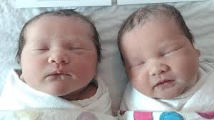 Brittany and Steve celebrate arrival of twins