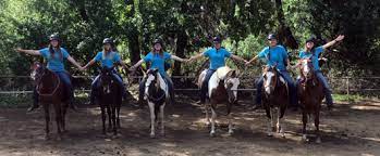 If this if your first time visiting, you'll need to create a new username and registration for troop camp and some specialized sessions is available through www.girlscoutsaz.org/activities. Girl Scouts Arizona Cactus Pine Council Work At Camp