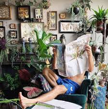 Alternatively, buy it from a reputable nursery or organic compost specialist greenback singapore. Urban Gardening In Singapore Where To Buy How To Care And Other Hacks For The Houseplant Obsessed Buro 24 7 Singapore