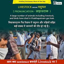 Pin On Latest Hinkhoj Word Of The Day