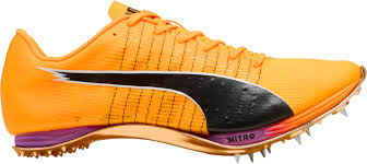 Image result for Pacific Green 2001 Puma