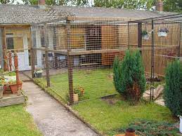 Cat kennel built in back yard with chicken wire and 2x4s show slideshow figure 11: Building The Big Outdoor Cat Run Its A Grand Blog Outdoor Cat Run Outside Cat Enclosure Cat Enclosure