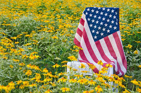 (redirected from list of u.s. Us State Flower List Official State Flowers To Color Garden