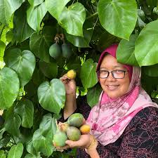 Holiday home cameron homestay is conveniently situated in no 31 jalan 6, golden hills brinchang in cameron highlands in 8.7 km from the centre. Ivy Homestay Cameron Highlands Home Facebook