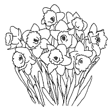 Daffodil coloring pages shares wednesday, august 24, 2011 | follow. Rgrhgrh Online Coloring Pages