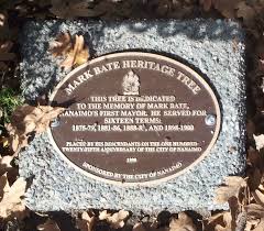 Mark Bate (1857-1927)