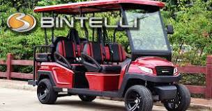 Image result for who makes bintelli golf carts