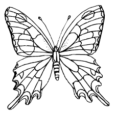 Cartoon butterflies and beautiful drawings of butterflies, free and easy to use for all learn a really cool illustration technique to achieve a realistic likeness! Black Butterfly Drawing Wallpaper