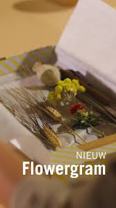 Nieuw Flowergram Video In 2020 Gedroogde Bloemen Knutselen Met Oude Kaarten Aluminiumfolie Knutselen