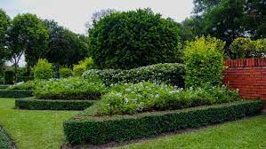Need a pest control company you can trust to do the job right? Our Services Lawn Care Pest Control Scott S Turf Pest