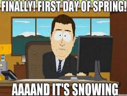 Summer party 2021 pool party. 15 Funny Memes About Spring